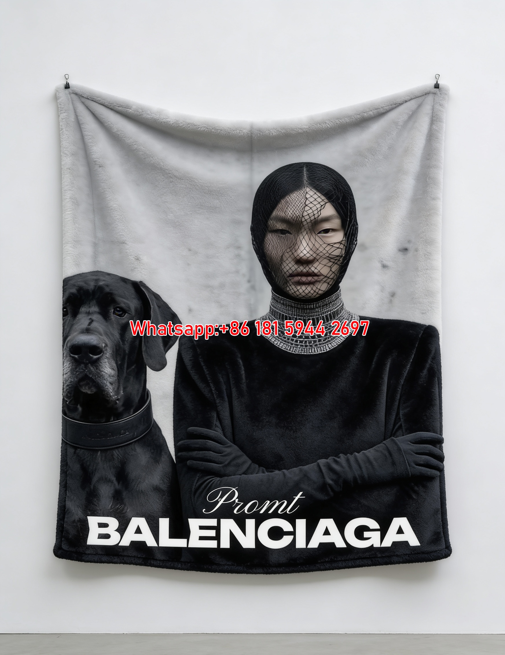 Balenciaga Net Veil & Dog Flannel Throw Blanket for Sofa and Wall Decor BA492